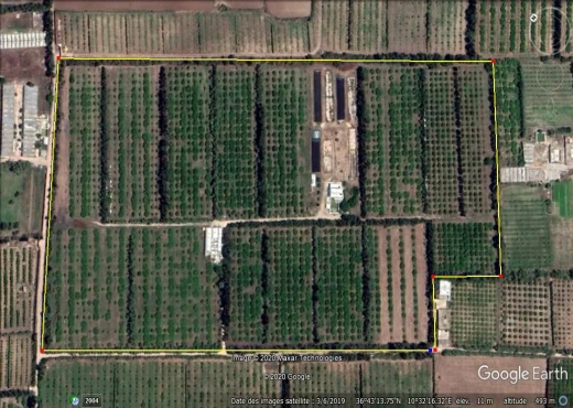 ferme à À Vendre à NABEUL - Ferme Agricole de 11 h à Soliman
