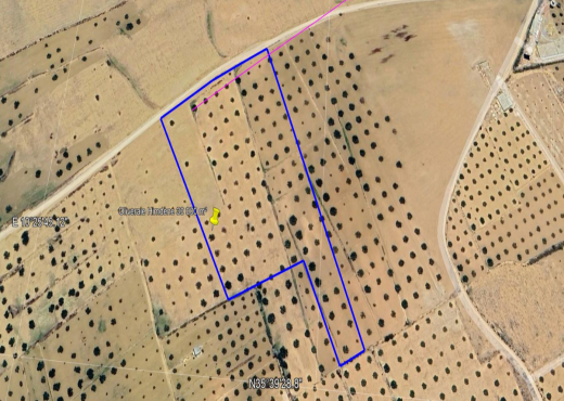 أرض فلاحية للبيع