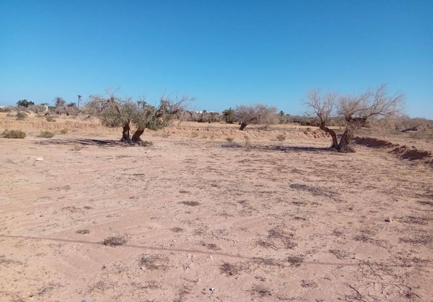 À vendre  Un terrain situé  entre Midoun et Houmt Souk