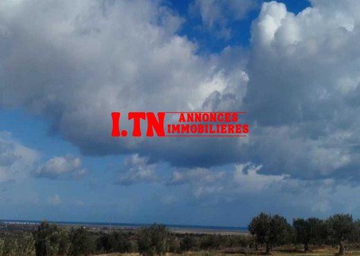 Terrain agricole à vendre