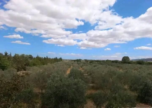 terrain agricole