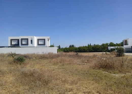 1000m sidi hammed bareket essahel