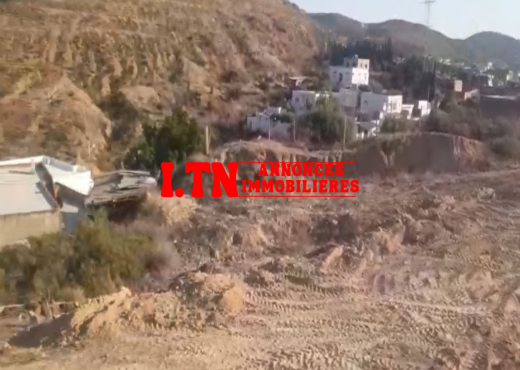 🌿 1920 m² pour projet agricole ou investissement