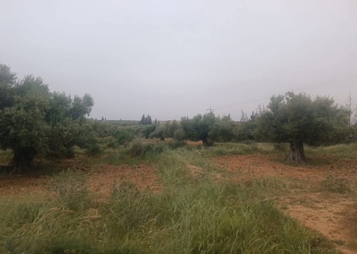 terrain à vendre