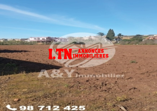 🌿🌳 Terrain agricole à vendre – Gharel Melh 🌳🌿