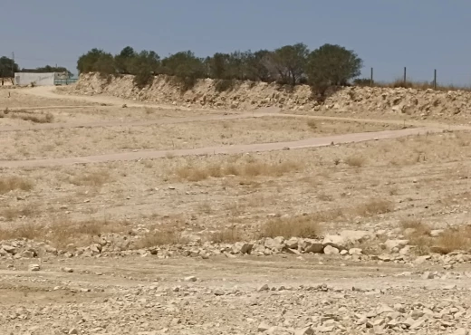 ferme à À Vendre à TUNIS - des  LOTS AGRICOLES DE 1000 m2