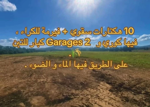 ferme à À Louer à BIZERTE - A louer ferme agricole a Bizerte