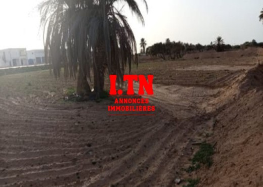 Terrain à vendre Midoun Djerba