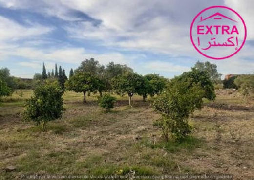 Vente Ferme à El Machrouha