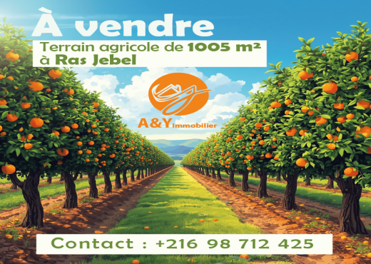 Terrain agricole de 1005 m² à Ras Jebel