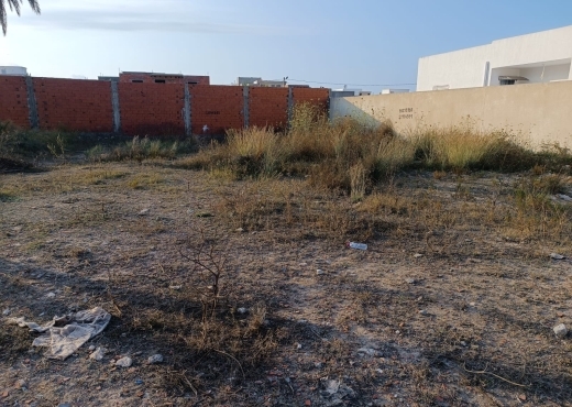 lot de 622 m² à Mahdia