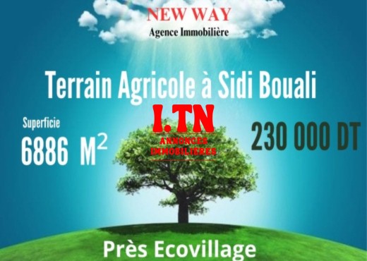 Terrain Agricole  à Sidi Bou ali