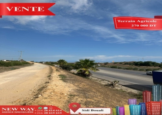Terrain Agricole à Sidi Bouali