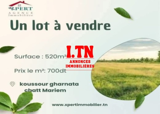 terrain a vendre chatt mariem