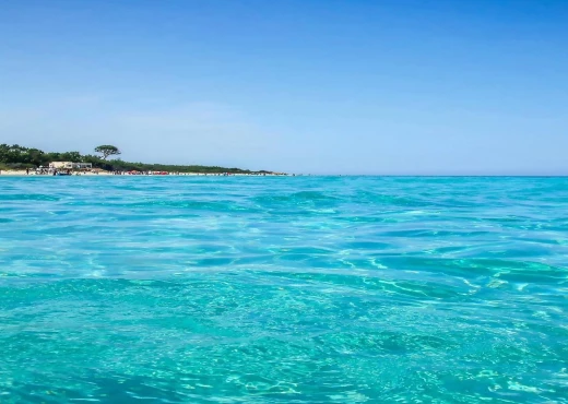 terrain à À Vendre à NABEUL - un terrain a ne pas rater a ezzahr