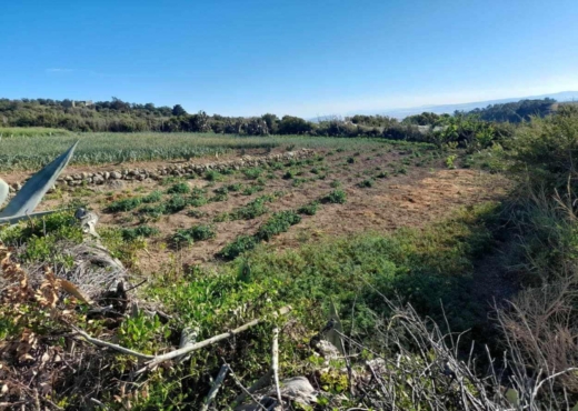 terrain à À Vendre à BIZERTE - Terrain a raf raf  1 hectare