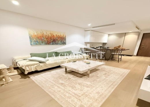 Appartement meublé s+1