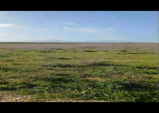 TERRAIN AGRICOLE NU A VENDRE