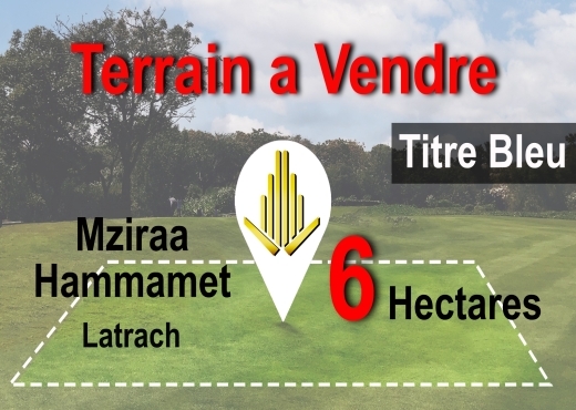 A vendre terrain agricole à Mziraa Hammamet