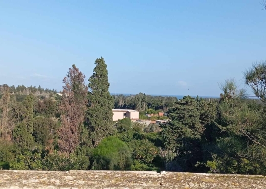 Une ferme  à Ras Jebel – Bizerte 🌾