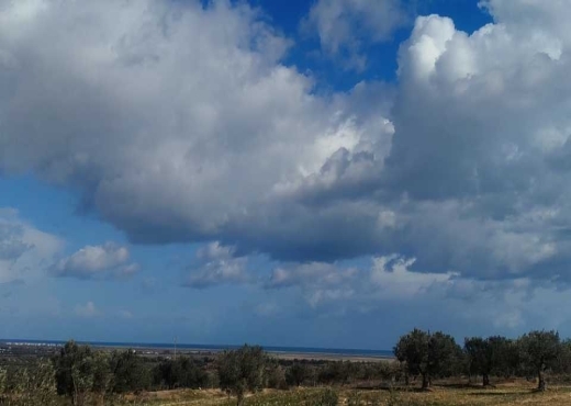 TERRAIN AGRICOLE A VENDRE