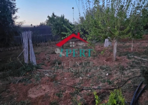 ferme a vente kalaa kbira