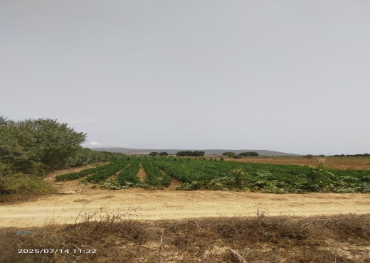 un terrain de 3600m² avec un puit
