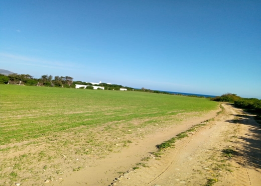 terrain à À Vendre à NABEUL - Lotissement la dora dar allouch