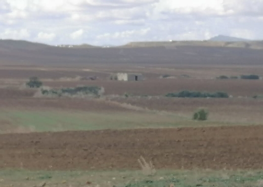 A Vendre Terrain Agricole