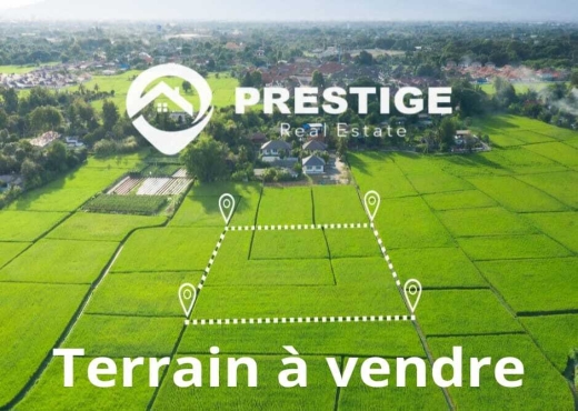 A vendre terrain agricole