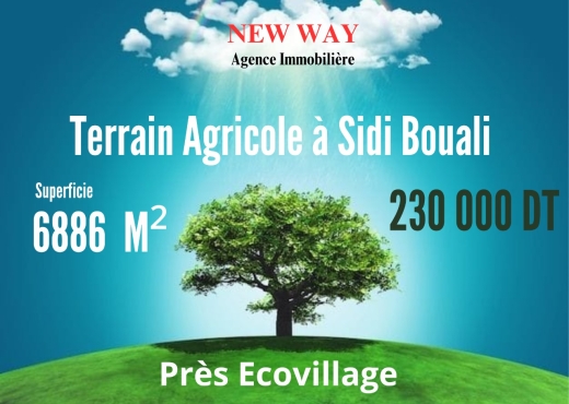 Terrain Agricole  à Sidi Bou ali