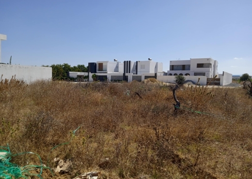 terrain a bareket essahel 1000 m