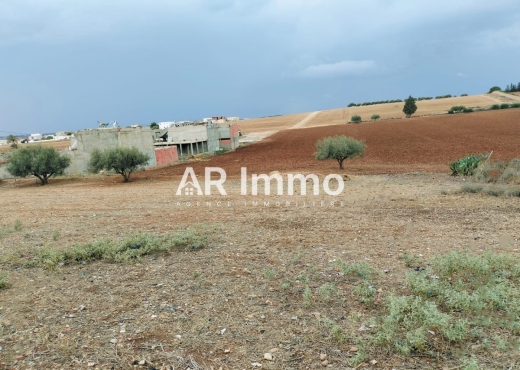 Lots de Terrains en Vente