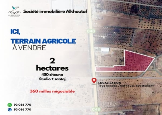 A vendre Terrain Agricole à Kondar