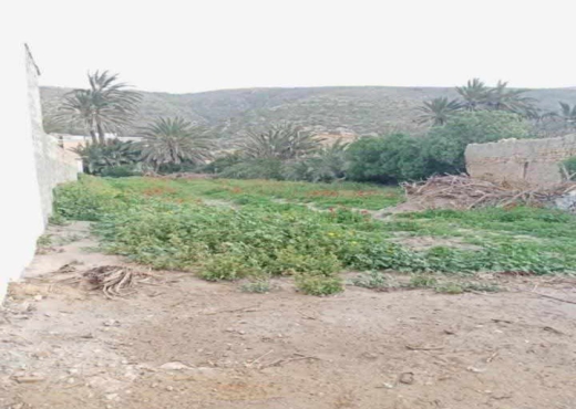 terrain à À Vendre à BIZERTE - A Vendre Terrain à Ghar ElMelh
