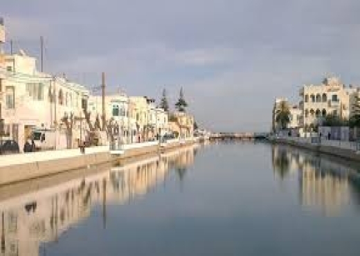 Villa avec piscine à Kheireddine