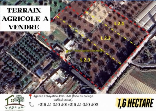 A Vendre Terrain Agricole