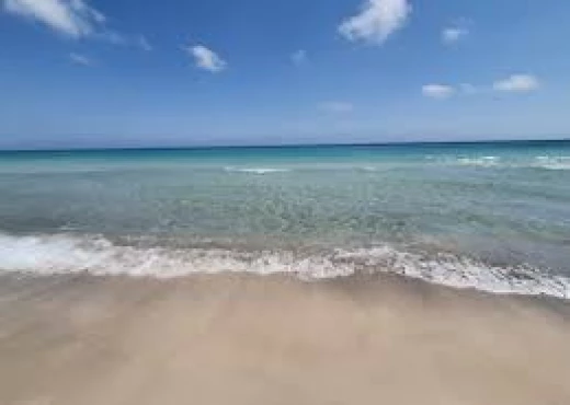 terrain à À Vendre à NABEUL - terrain pour meilleur investir