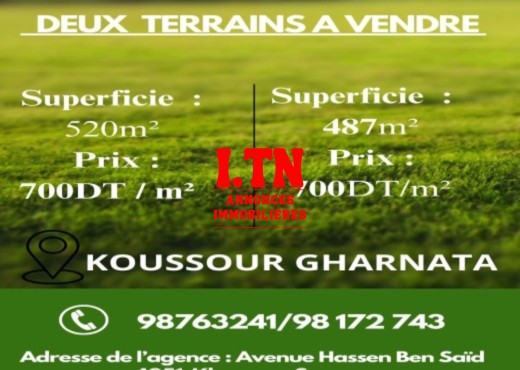 deux terrains a vendre