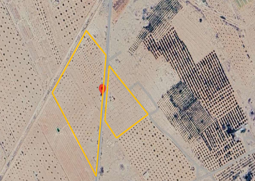 Terrains Agricoles 7 Ha