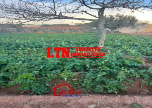 un terrain à vendre