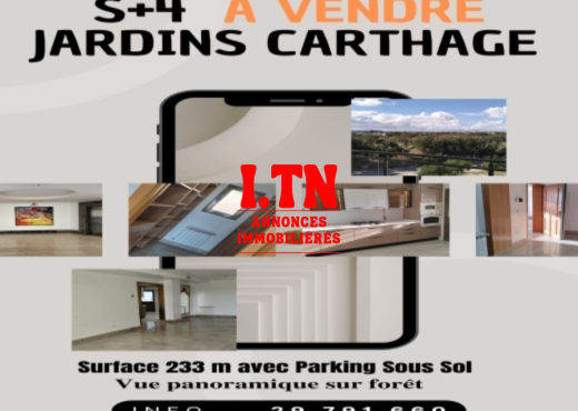 S+4  Les Jardins de carthage Stand