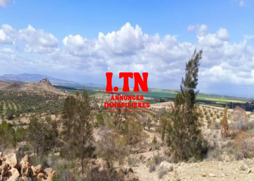 terrain agricole