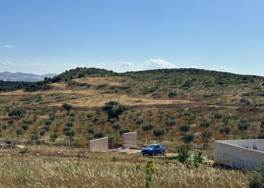 Terrain agricole lansarine tborba