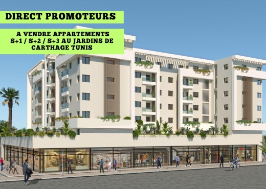 A Vendre S+2  Jardins de Carthage