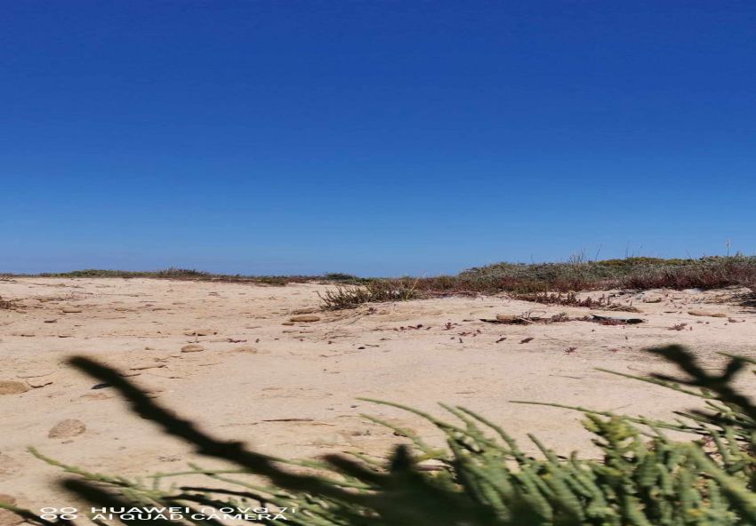 terrain À Vendre à SOUSSE - Terrain à vendre - Immobiliere.tn - Photo 2