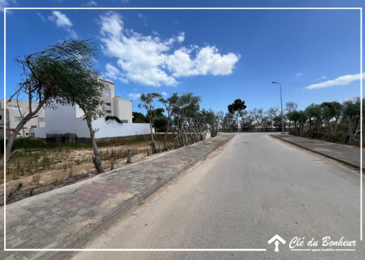 un terrain viabilisé à raoued