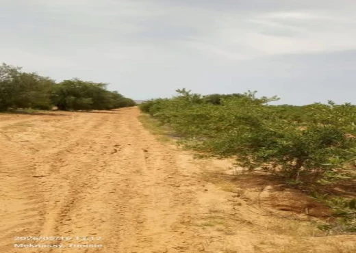 terrain À Vendre à SIDI BOUZID - Ferme modèle à vendre - Immobiliere.tn - Photo 8