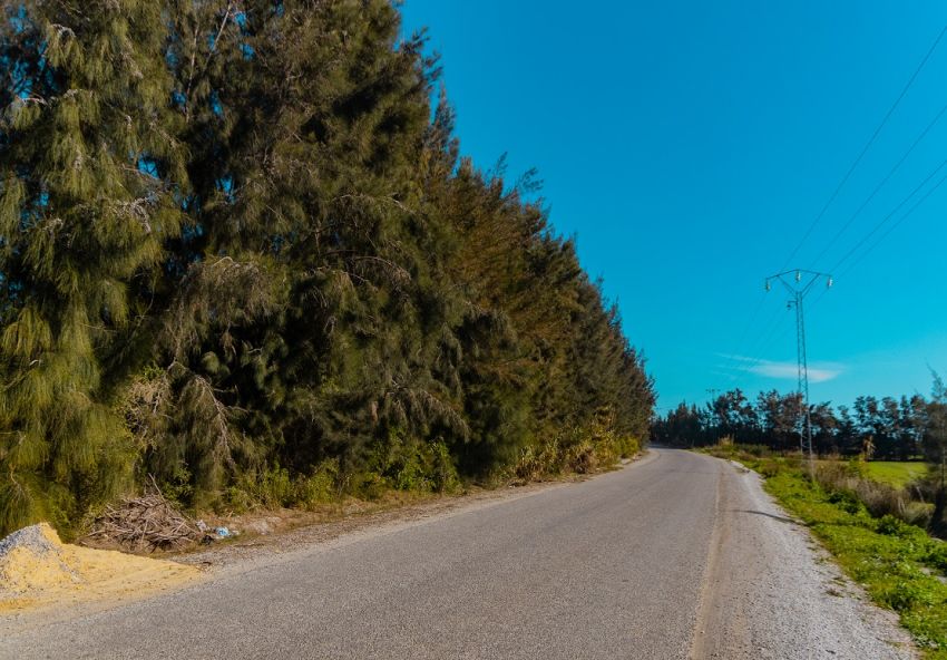 ferme À Vendre à NABEUL - 7 hectar à bou argoub el kharrouba nabeul - Immobiliere.tn - Photo 3