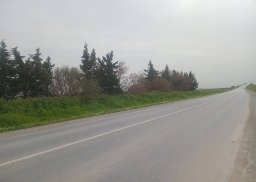 للبيع قطع أرض في سيدي ثابت-شرفش